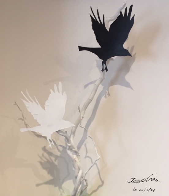 Oiseau blanc oiseau noir