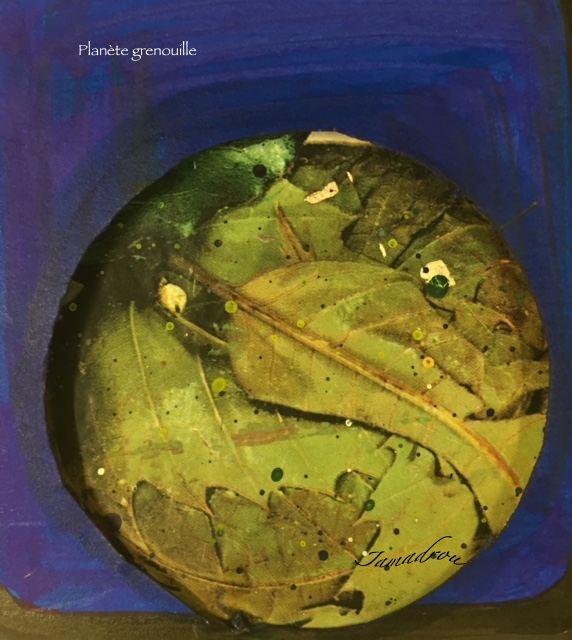 Plane te grenouille
